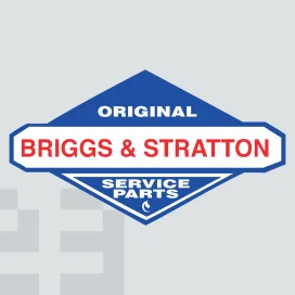 Briggs stratton 1